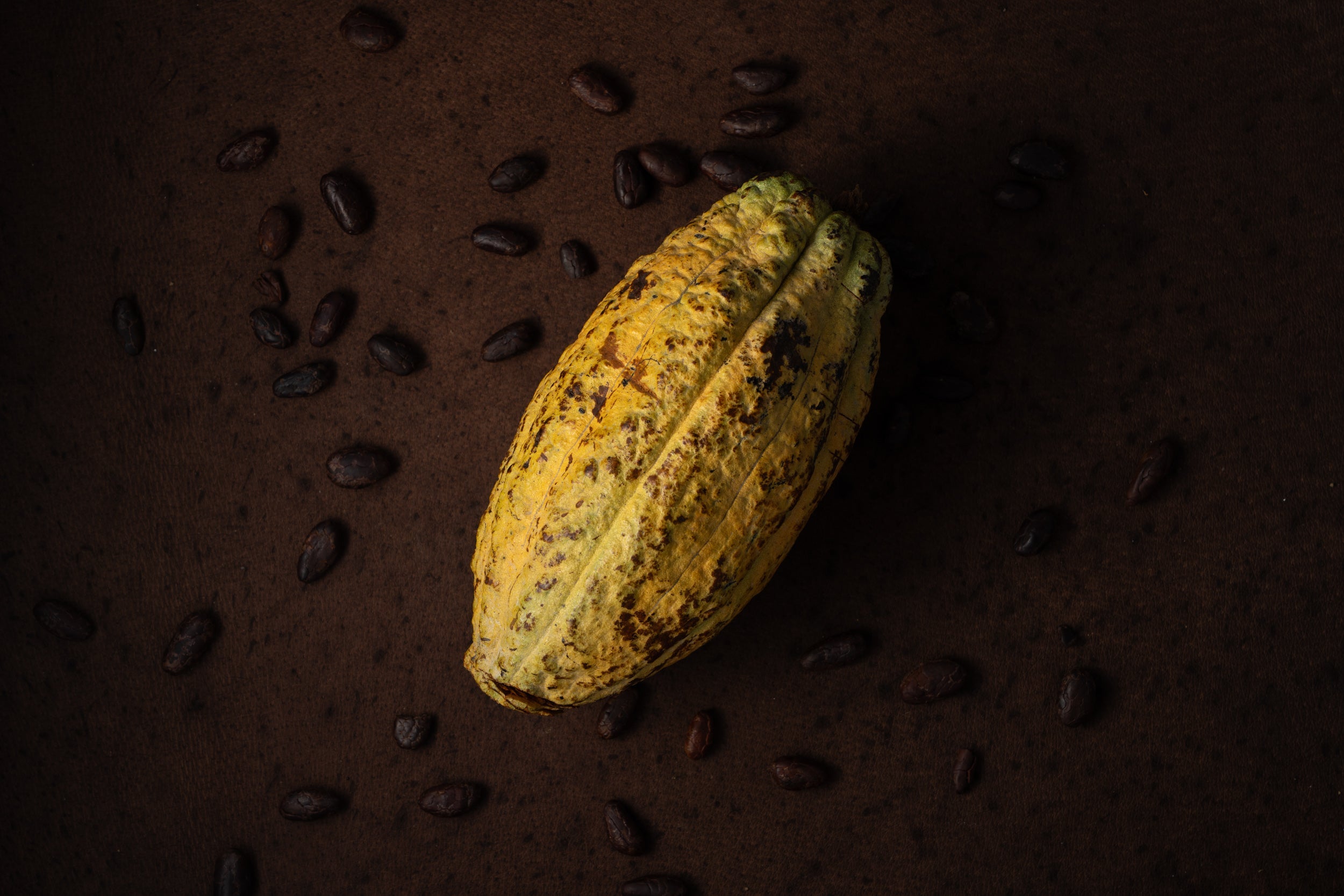 Cacao