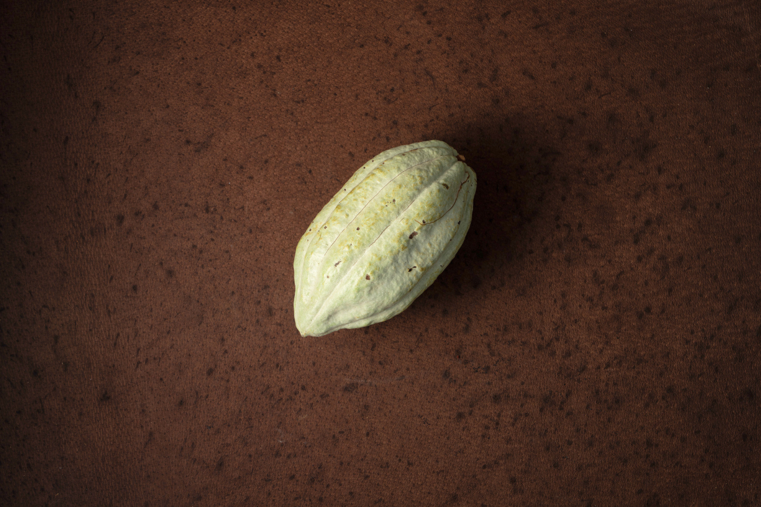 100% Cacao - Ground